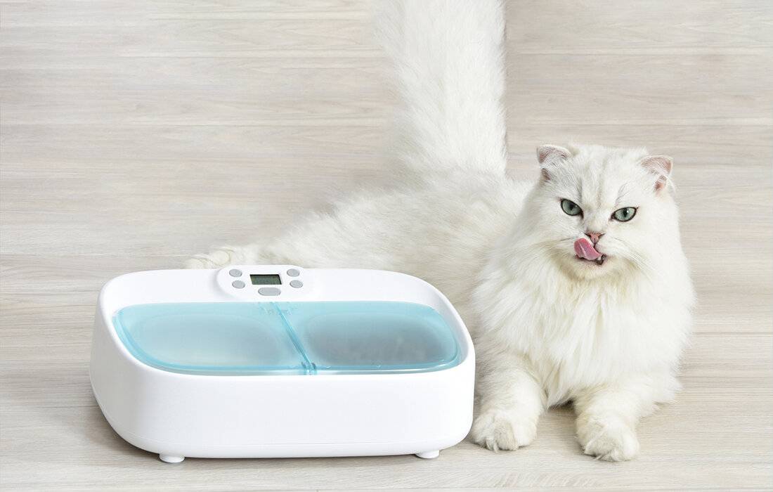 Zwei-Mahlzeiten-Futterschale Smart Bowl mit Kühlung Petoneer