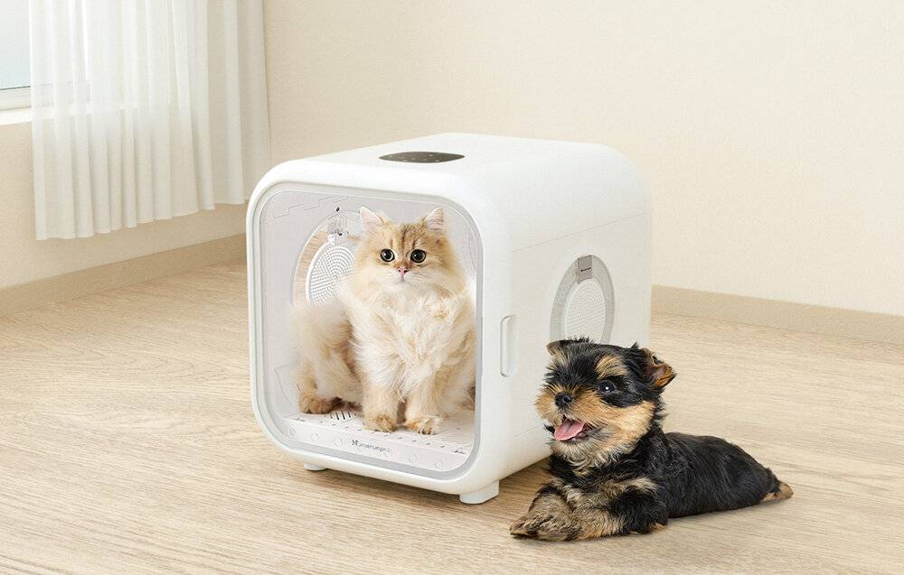 Haustier-Trockner Homerunpet PD50