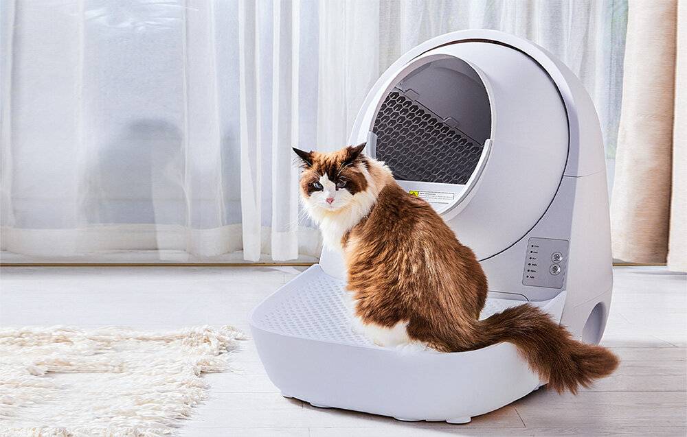 Catlink Scooper Katzenklo Treppe (Grau)