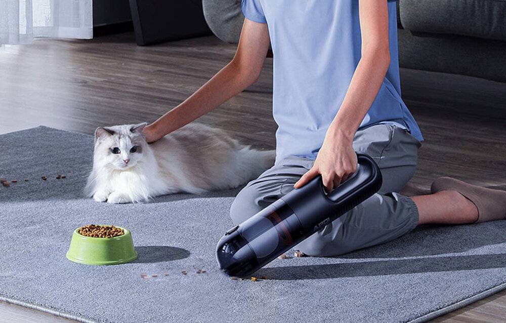 Kabelloser Staubsauger Baseus AP01 5000Pa (schwarz)