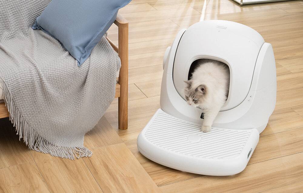 Treppe für Catlink BayMax Wurfkiste