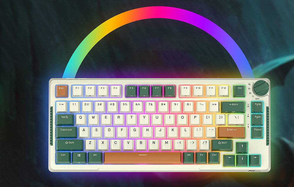 Kabellose mechanische Tastatur Royal Kludge RKH81 RGB, Sky cyan Schalter (grün)