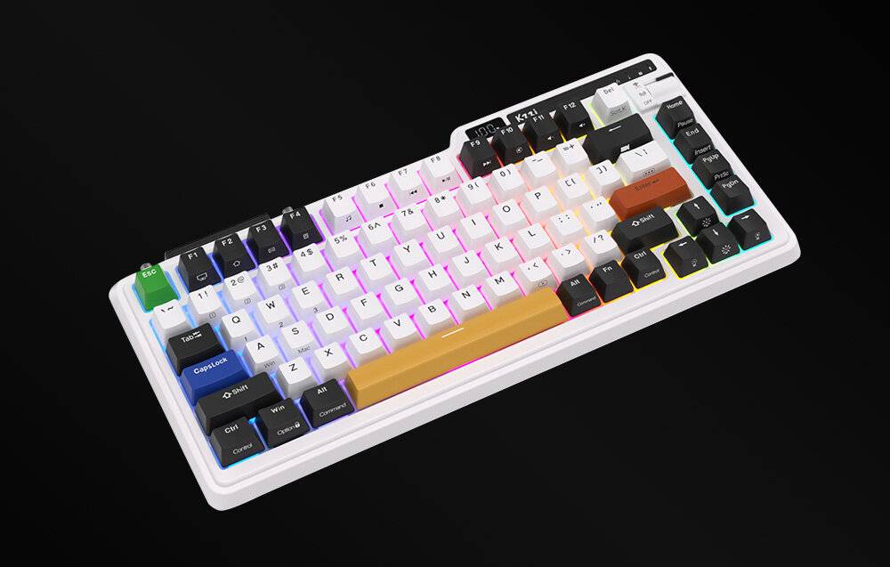 Kabellose mechanische Tastatur Royal Kludge KZZI K75 pro RGB, Eternity Switch (schwarz und weiß)