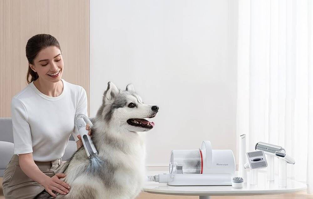 Pflegeset für Haustiere HomeRunPet HC15