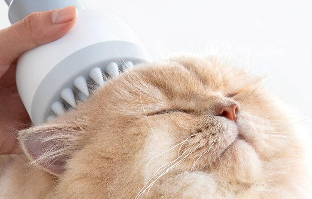 Pflegeset für Haustiere HomeRunPet HC15