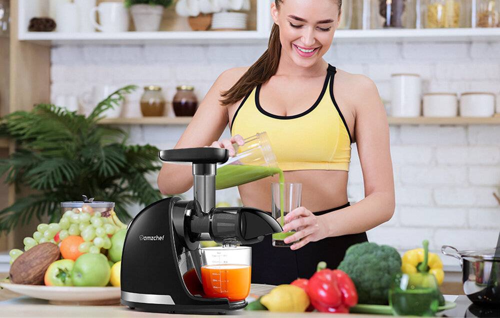 Langsam-Entsafter AMZCHEF 1501-GA (Grau)