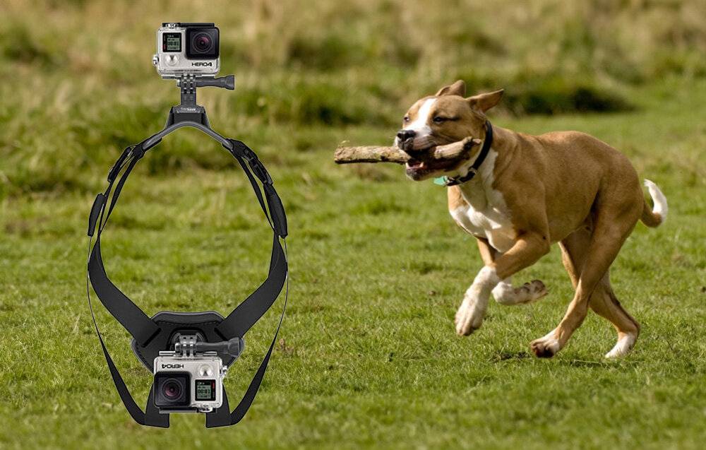 Hunde-Brustgurt PULUZ für Action-Kameras (GoPro, Insta360, DJI Action etc.)