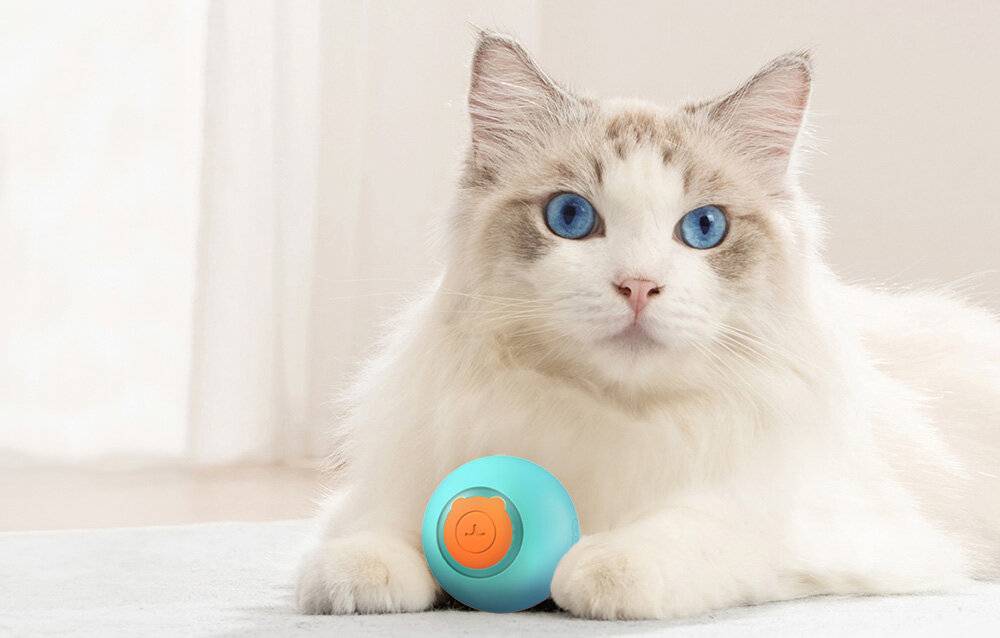 Rojeco Interaktiver Katzenball (grün)