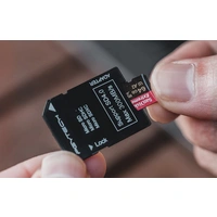 Kartenleser PGYTECH CFE-A/SD CreateMate (grün) Kartenleser PGYTECH CFE-A/SD CreateMate (grün)