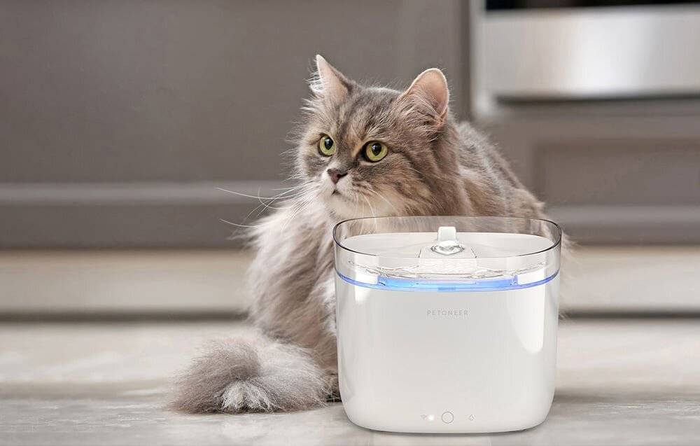 Petoneer Fresco Mini Pro Haustierbrunnen/Tränke