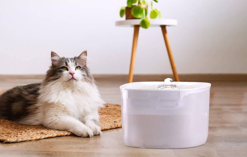 Petoneer Fresco EzGo intelligenter Haustier-Brunnen/Trinker