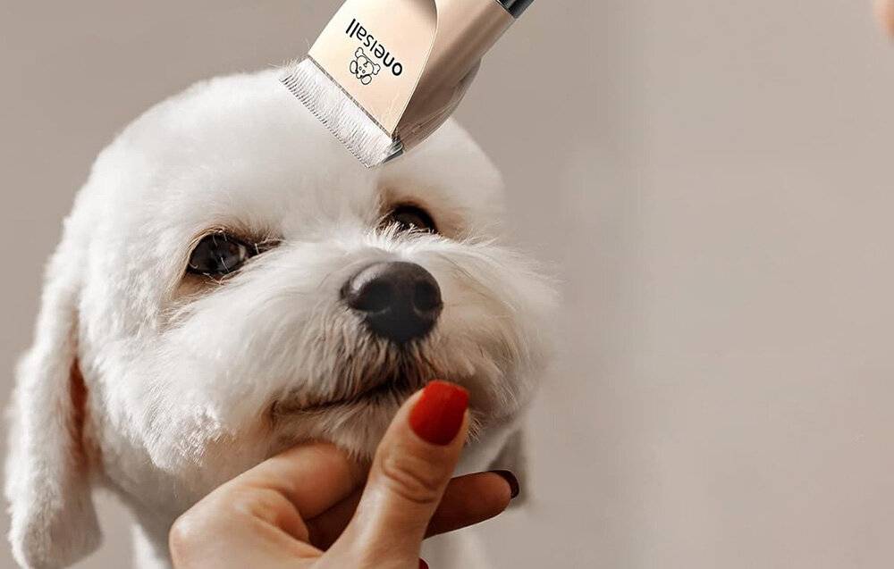 Trimmer / Tierhaarschneider Oneisall X2