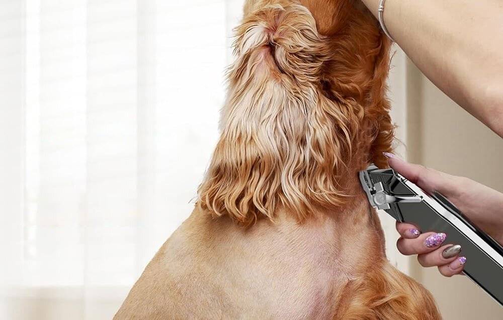 Trimmer / Haustierschermaschine Oneisall RFC-676