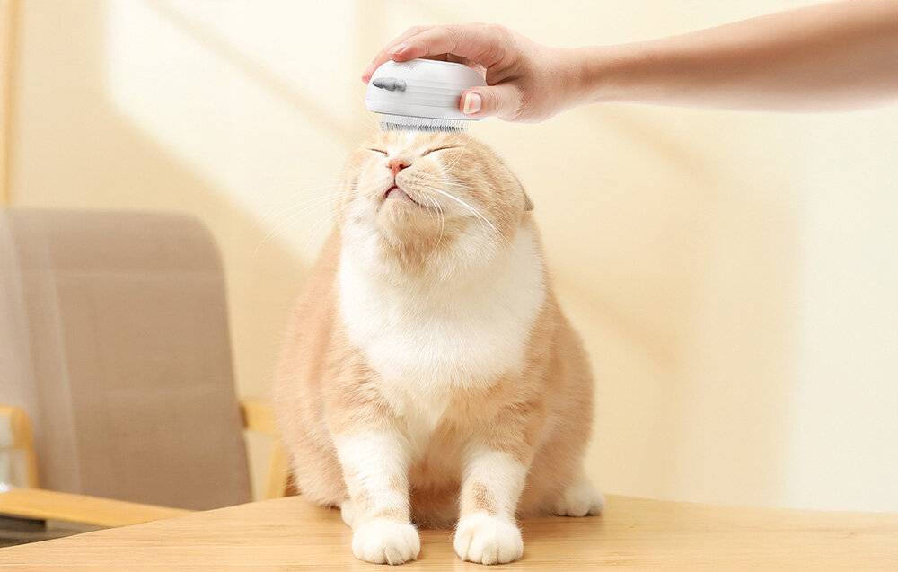 Rojeco Katzendampfbürste mit Massagefunktion (weiß)