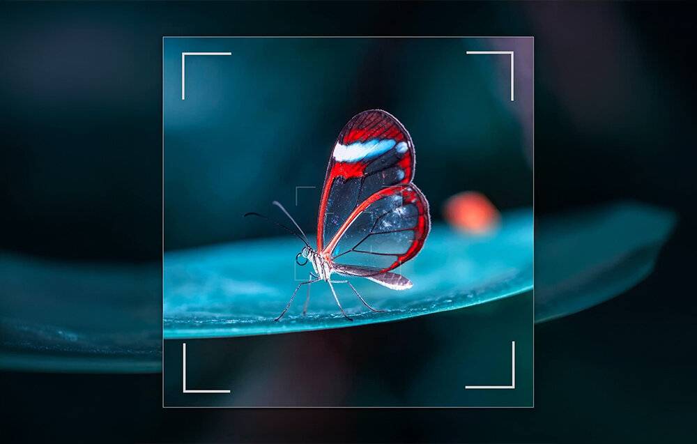 Neewer Weitwinkelobjektiv für Sony ZV1 (schwarz)