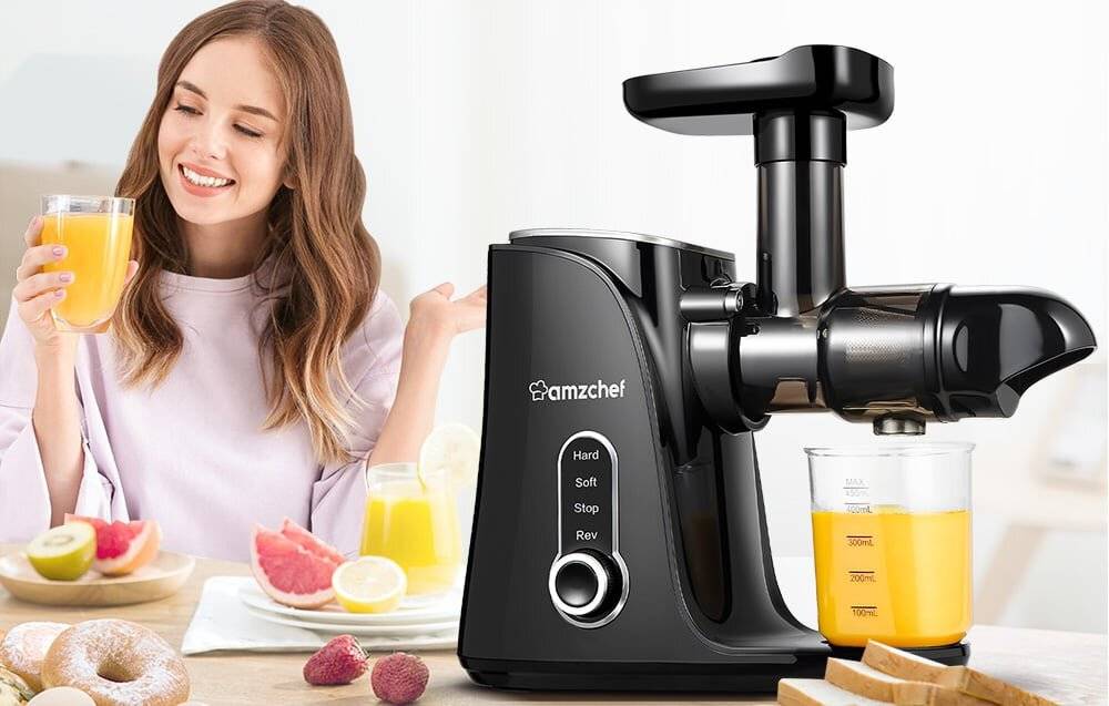 AMZCHEF GM3001-BK langsame Geschwindigkeit Entsafter (schwarz)