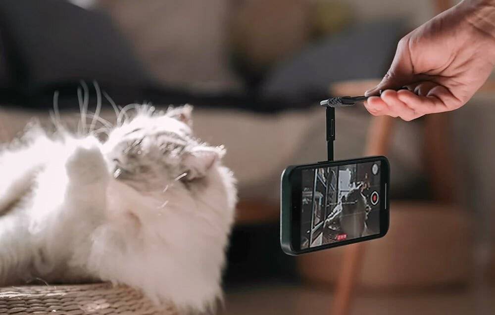 PGYTech magnetischer Telefonhalter (schwarz)