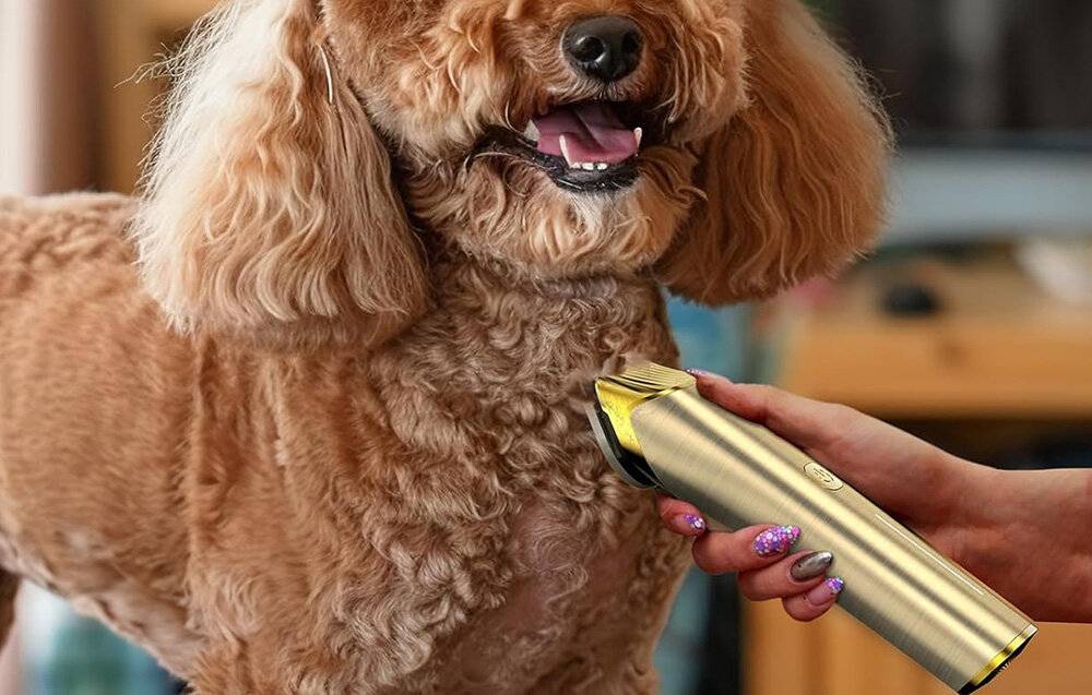 Trimmer / Haustierschermaschine Oneisall RK-034