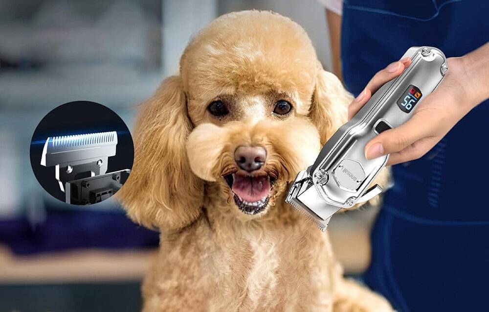 Oneisall RFC-676 + P20 Scherenset für Haustiere