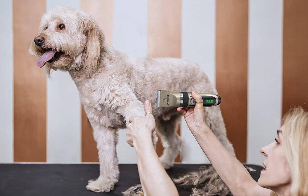 Oneisall X2 + N5 Scherenset für Haustiere