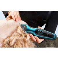 Trimmer / Haustierschermaschine Oneisall DTJ-001 Trimmer / Haustierschermaschine Oneisall DTJ-001