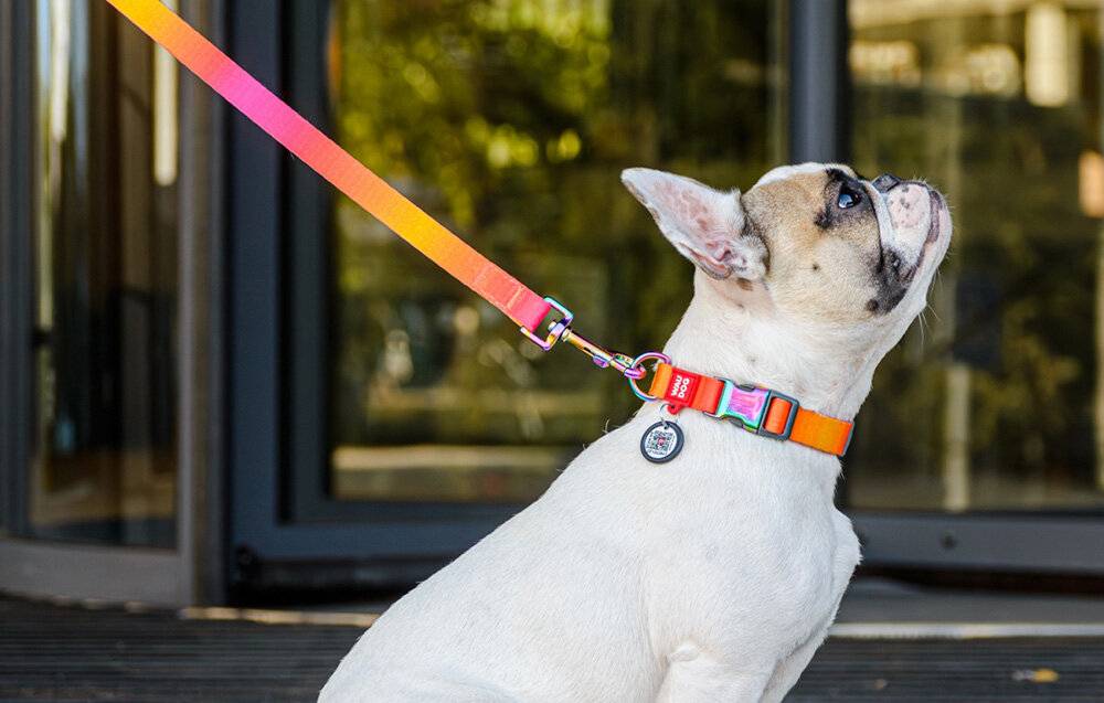 WAUDOG Hundeleine aus Nylon mit Farbverlauf, 15mm breit, 122cm lang, orange