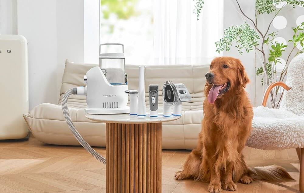 Neakasa P2 PRO Staubsauger/Haustierhaarpflege-Set
