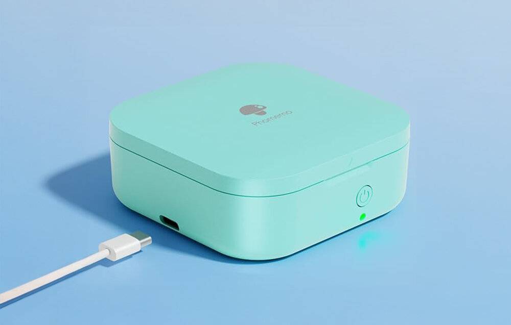 Phomemo Q30 tragbarer Etikettendrucker (grün)