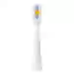 Soocas Aura PT1 Zahnbürstenaufsätze Soocas Aura PT1 Zahnbürstenaufsätze