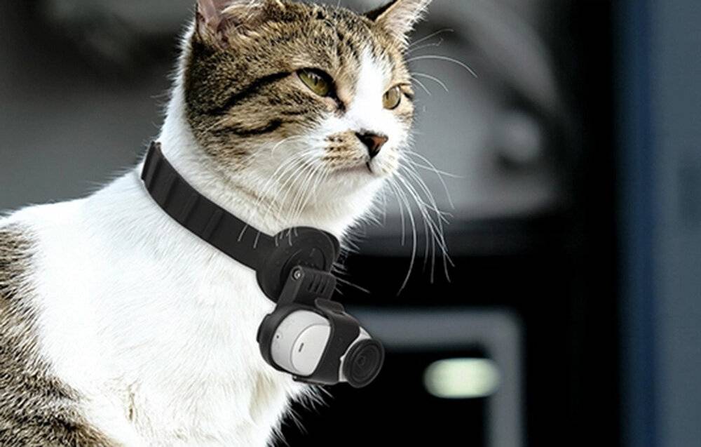 Sunnylife G3S-ZJ845 2-in-1 Flexibles Silikonband und Magnethalterung für Insta360 GO 3S