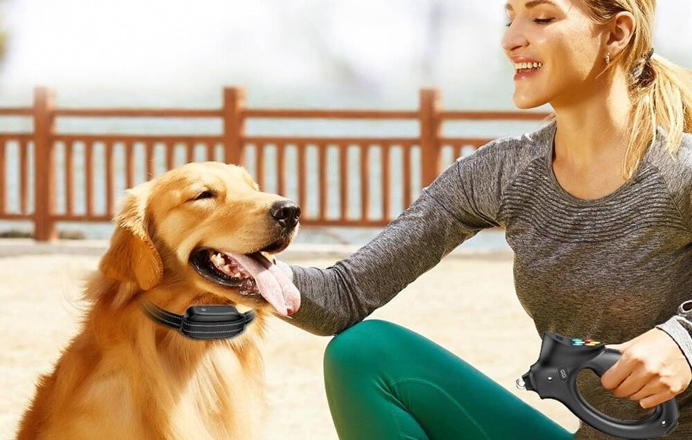 Rojeco PD800 elektrisches Barkenhalsband (Schwarz)