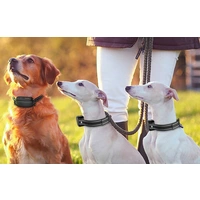 RojecoPD521 1000m Hundetrainingshalsband mit 2 Halsbändern (schwarz) RojecoPD521 1000m Hundetrainingshalsband mit 2 Halsbändern (schwarz)