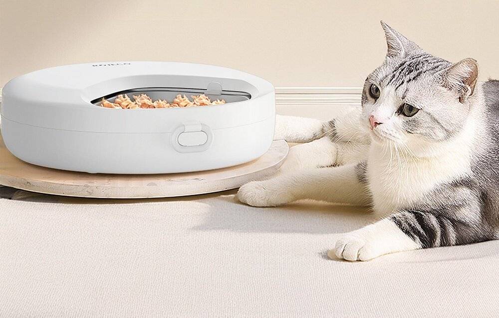 Rojeco F26 4 Mahlzeiten Katzenfutterautomat Knopfversion mit 2 Eispacks (weiß)