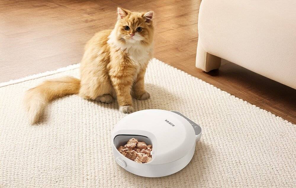 Rojeco F26 4 Mahlzeiten Katzenfutterautomat Knopfversion mit 2 Eispacks (weiß)