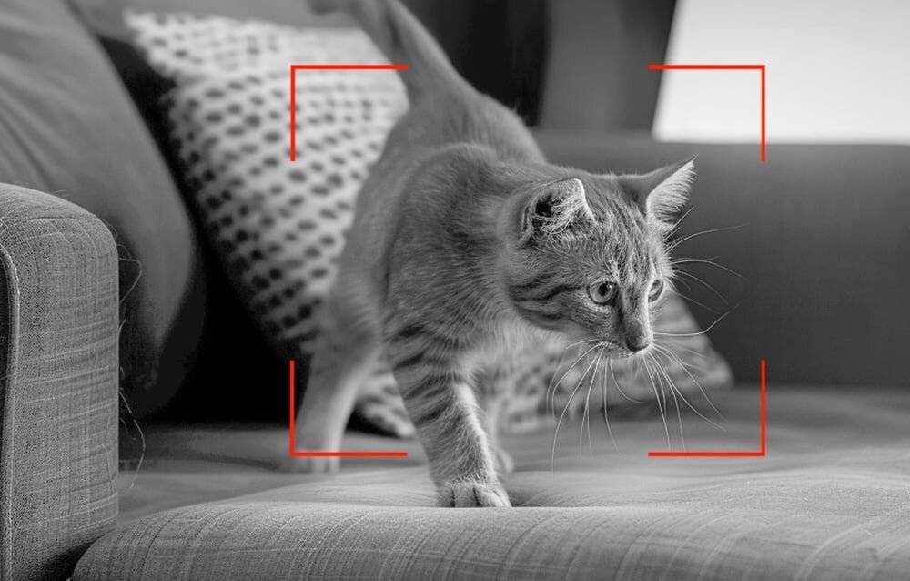 Rojeco RWSQA60O-3L intelligenter Lebensmittelspender mit Kamera (Weiß)