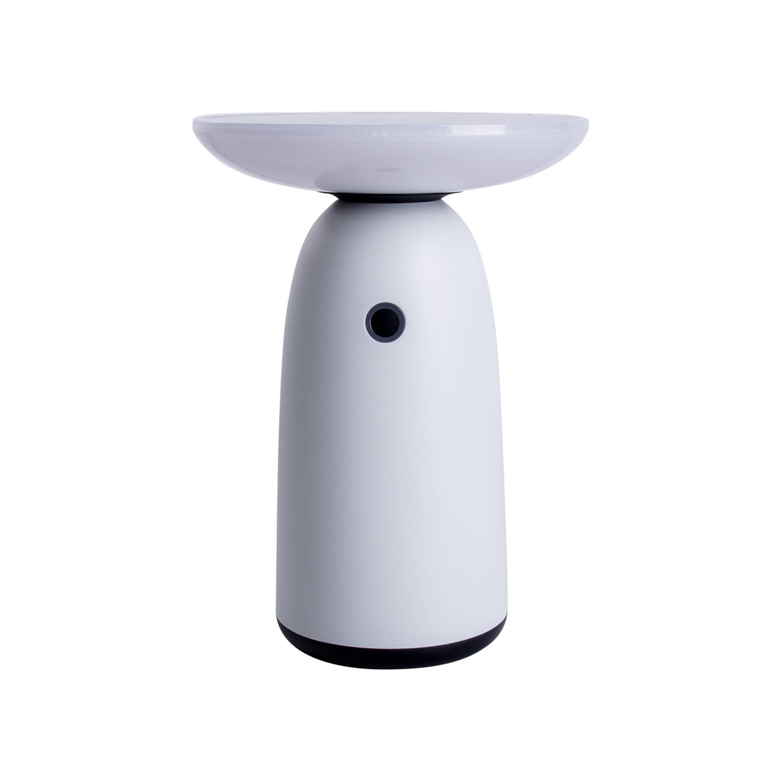 LED Solarleuchte "ADA" weiß