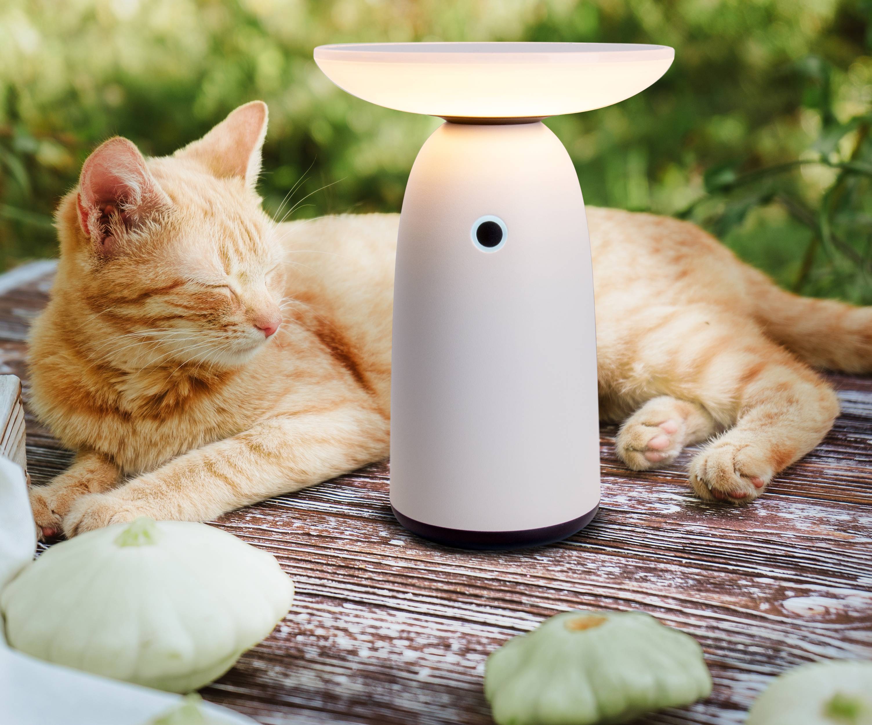 LED Solarleuchte "ADA" weiß