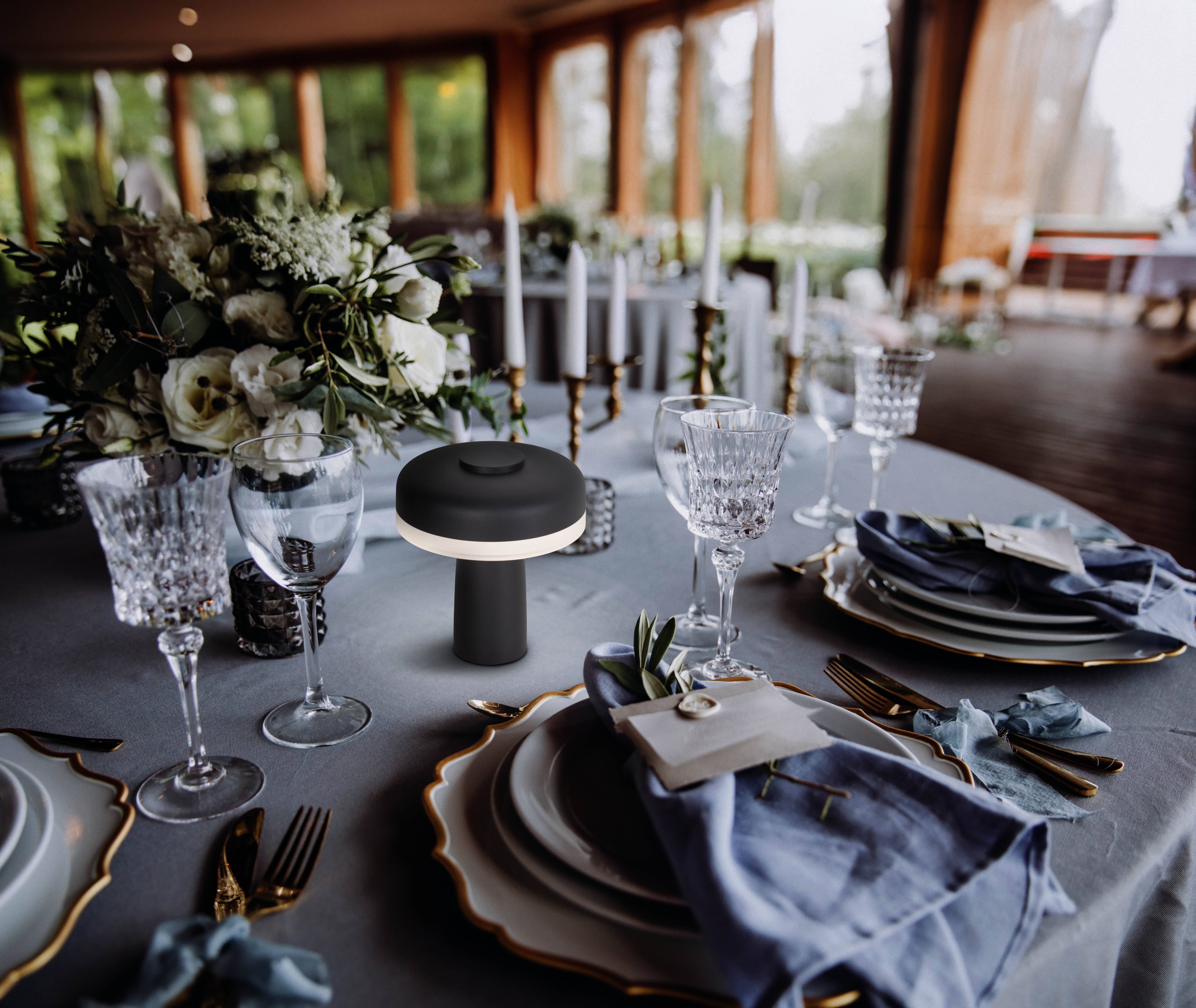 Akku-/Tischleuchte schwarz "PILU"