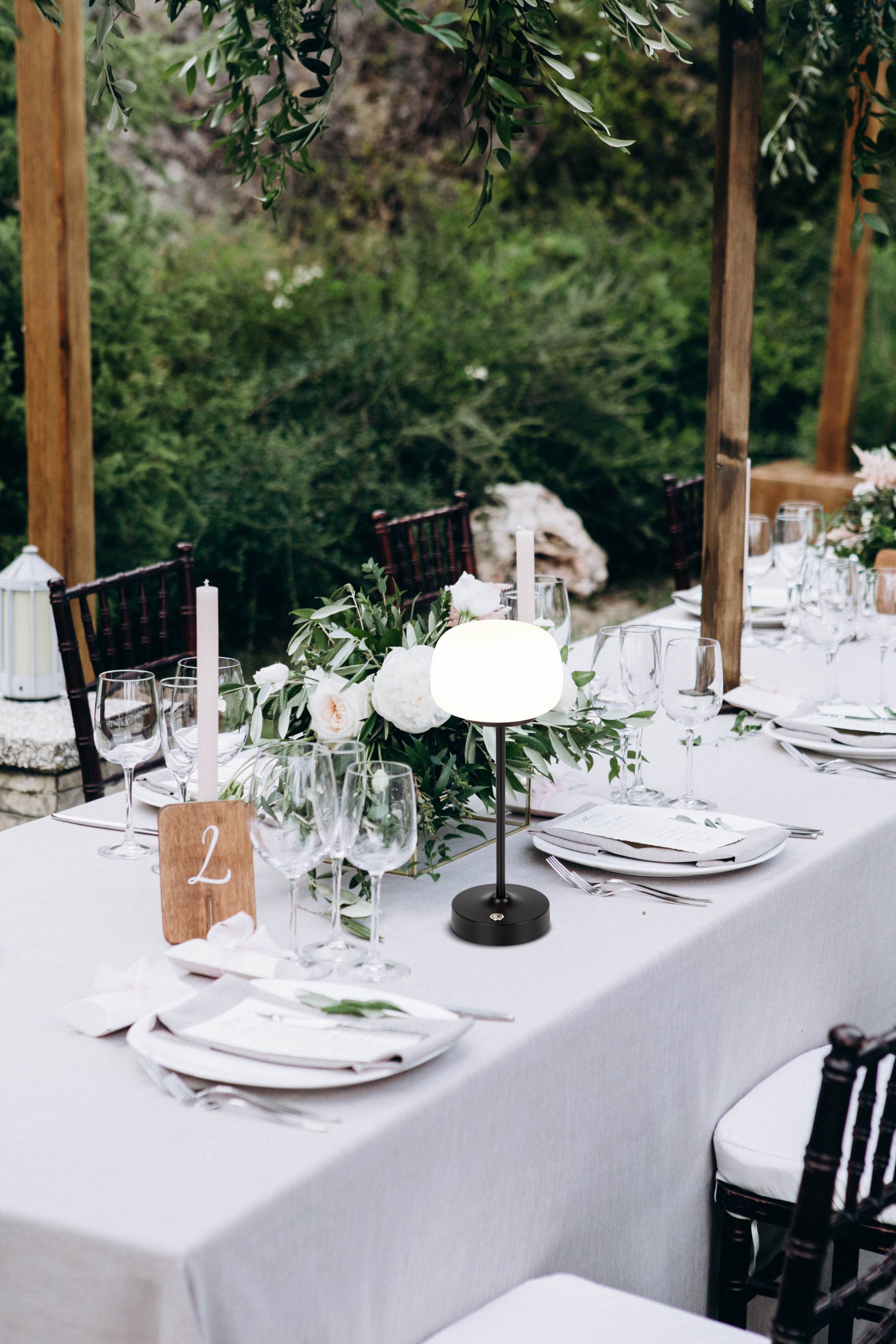 LED Akku-/ Tischleuchte "PINA" / schwarz