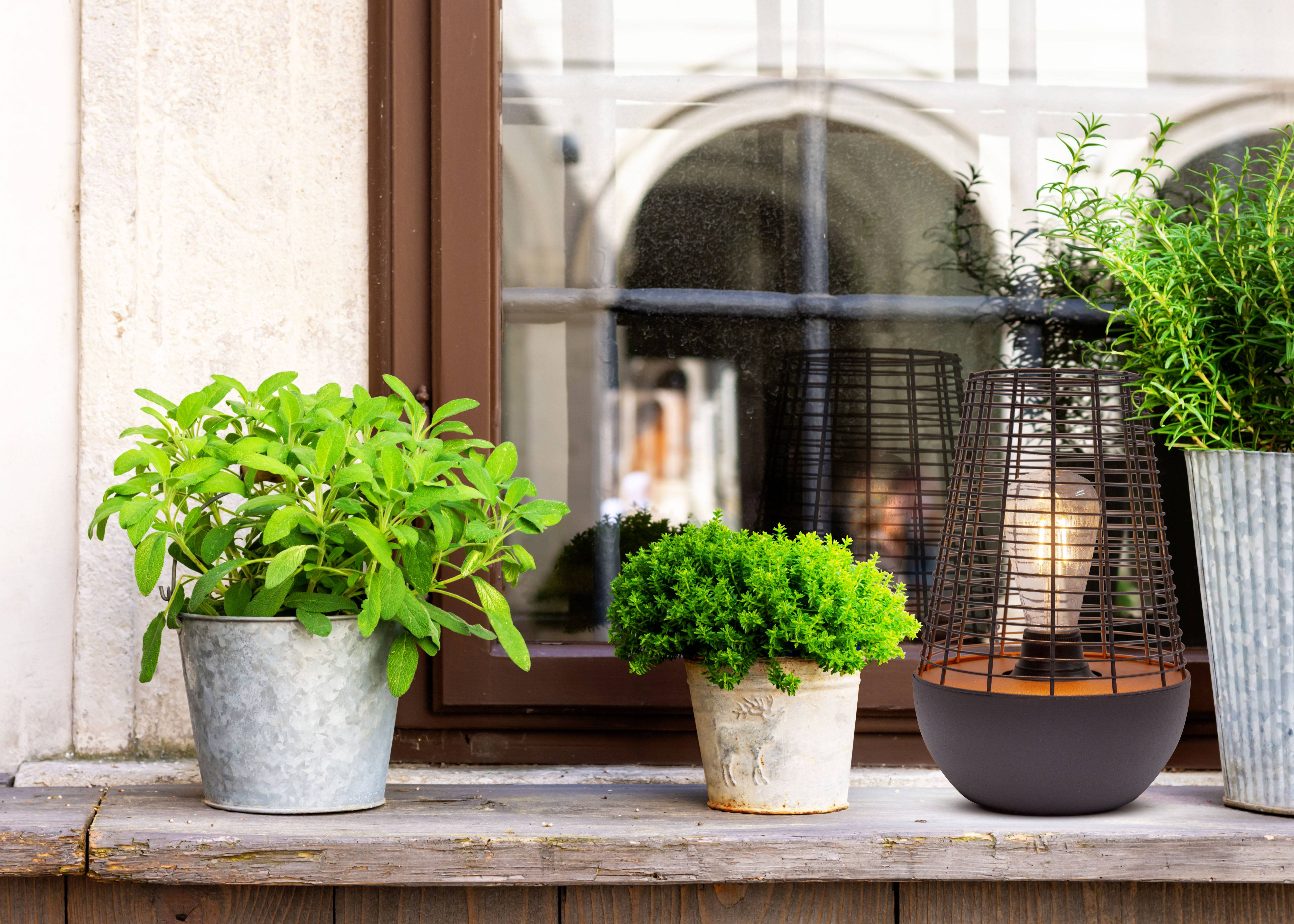 LED Dekoleuchte "BALUMO" H: 27cm