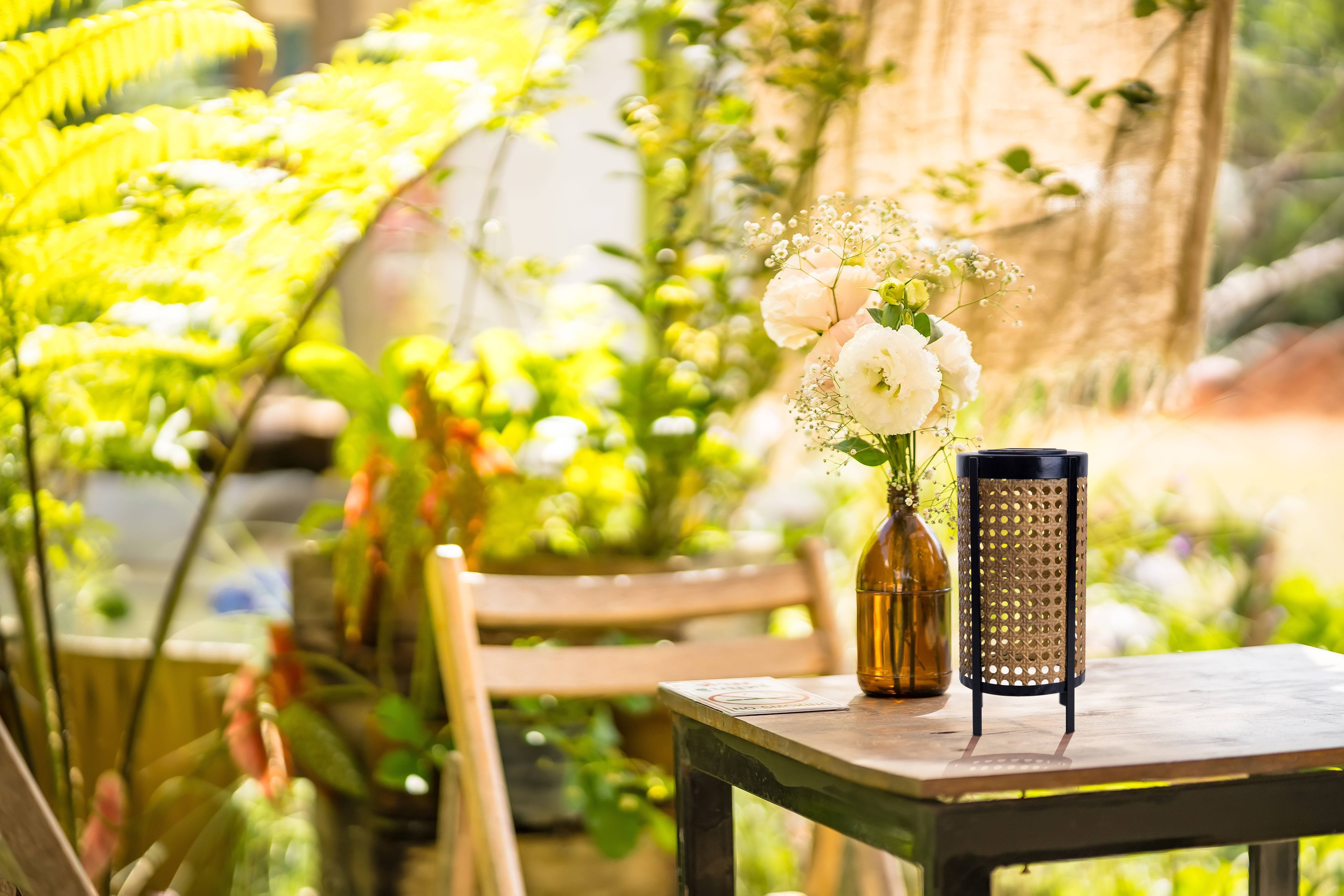 LED Solarleuchte "PATTI"