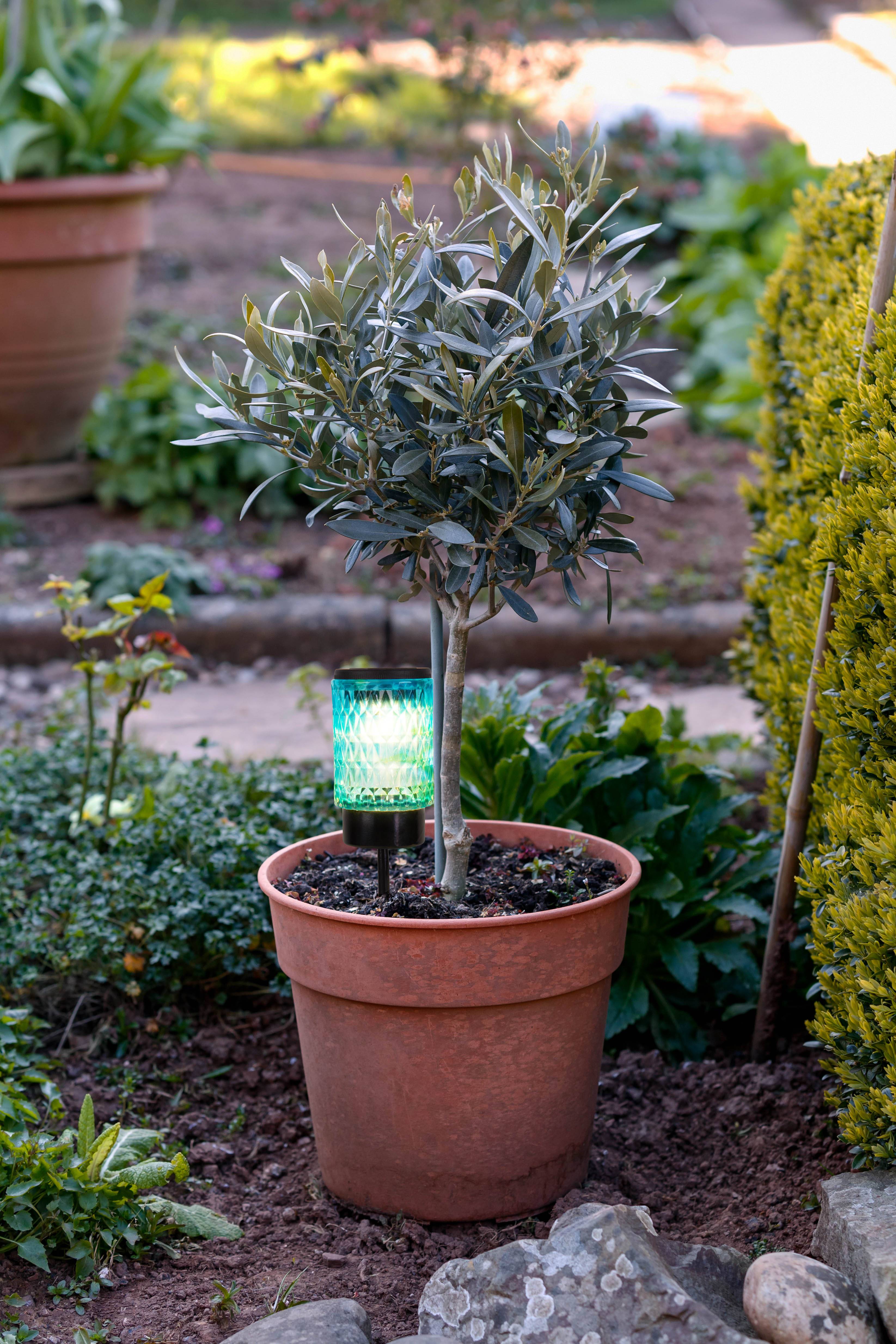 2er-Set Solar-/Dekoerdspieß "MILA"