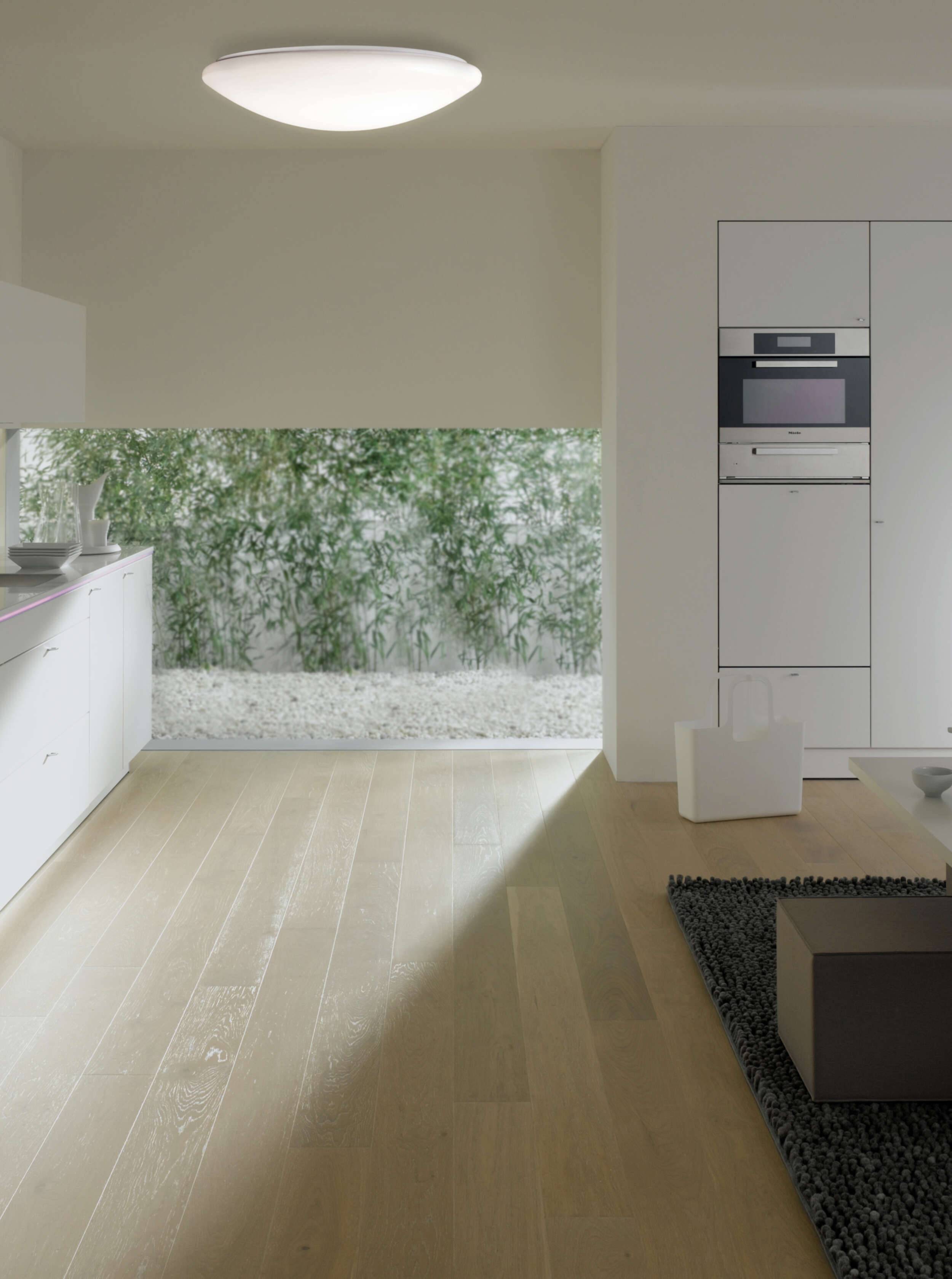 LED Deckenleuchte "DARWIN"