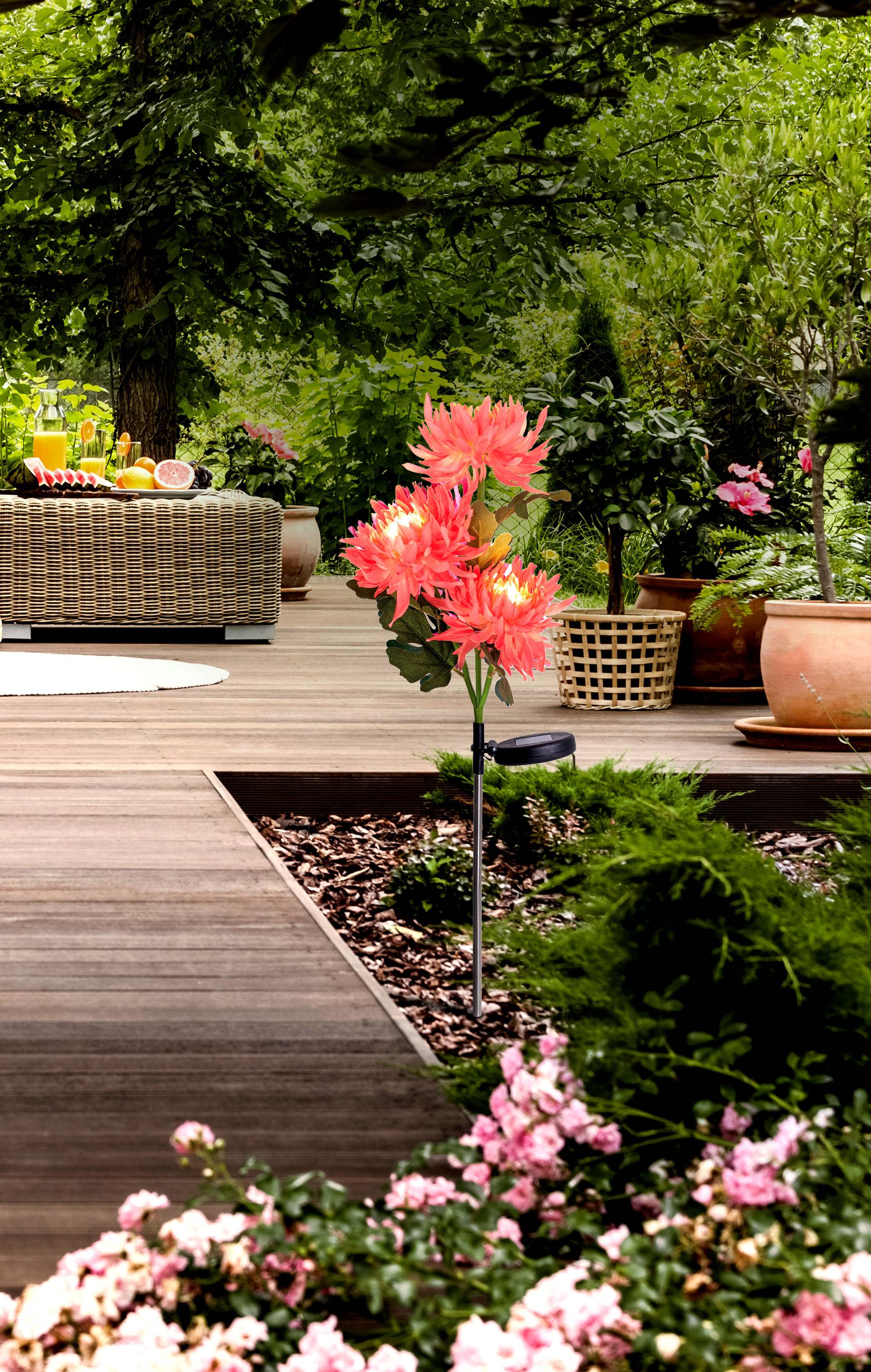 LED-Solar-Erdspieß "Blume" h:79cm rose