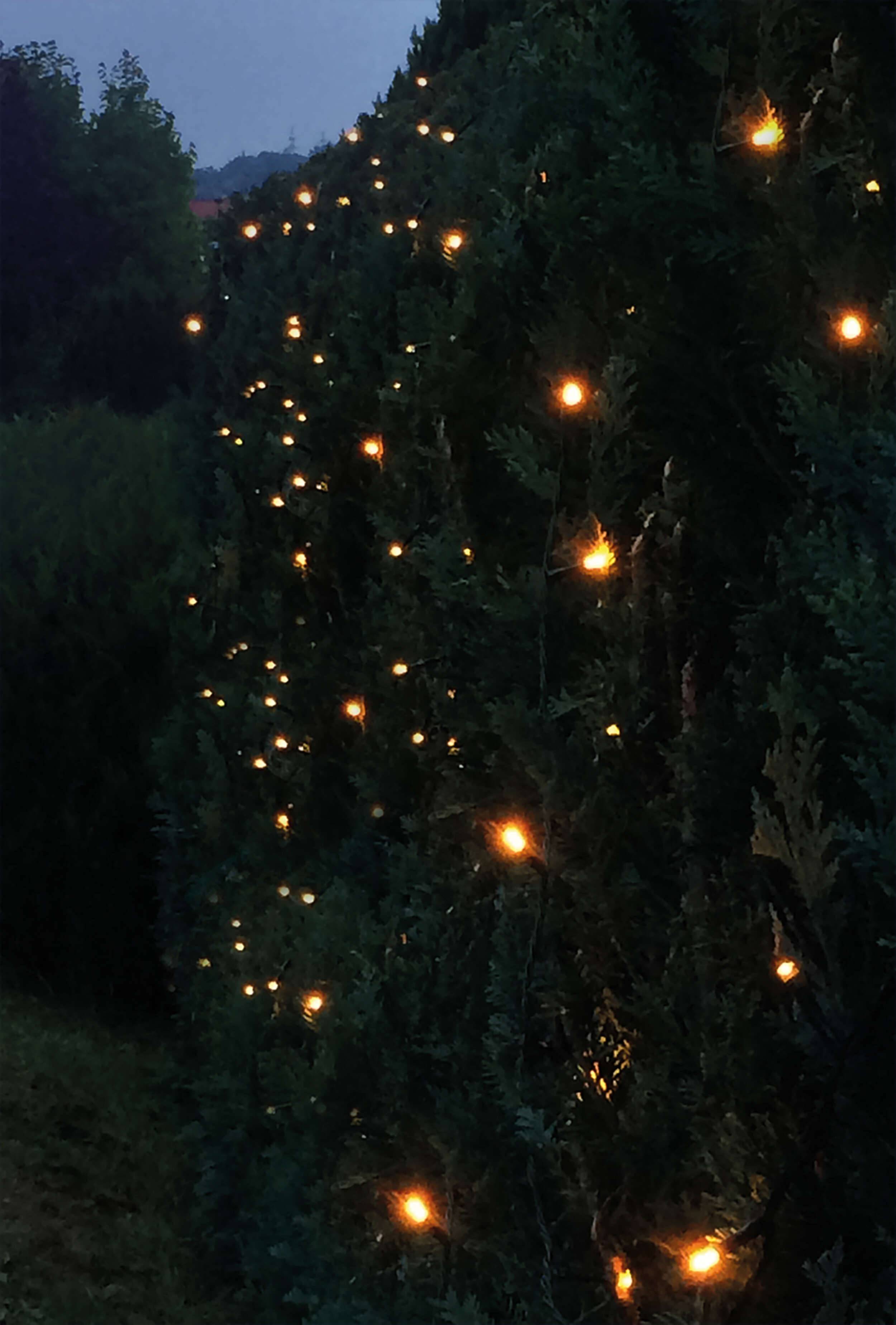 LED-Lichterkette 16m IP44