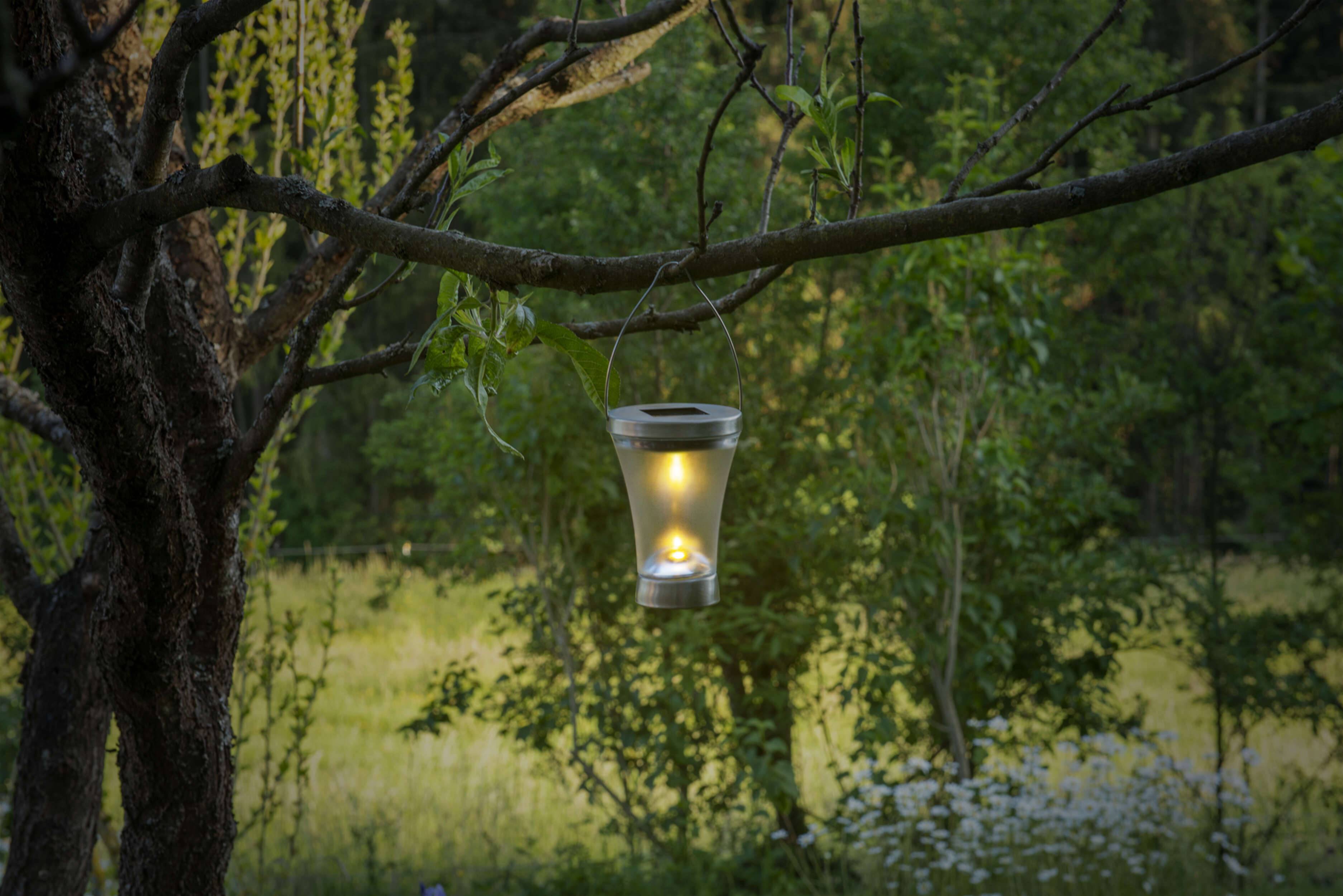 8er-Set LED Deko Solarleuchte "VERONICA"