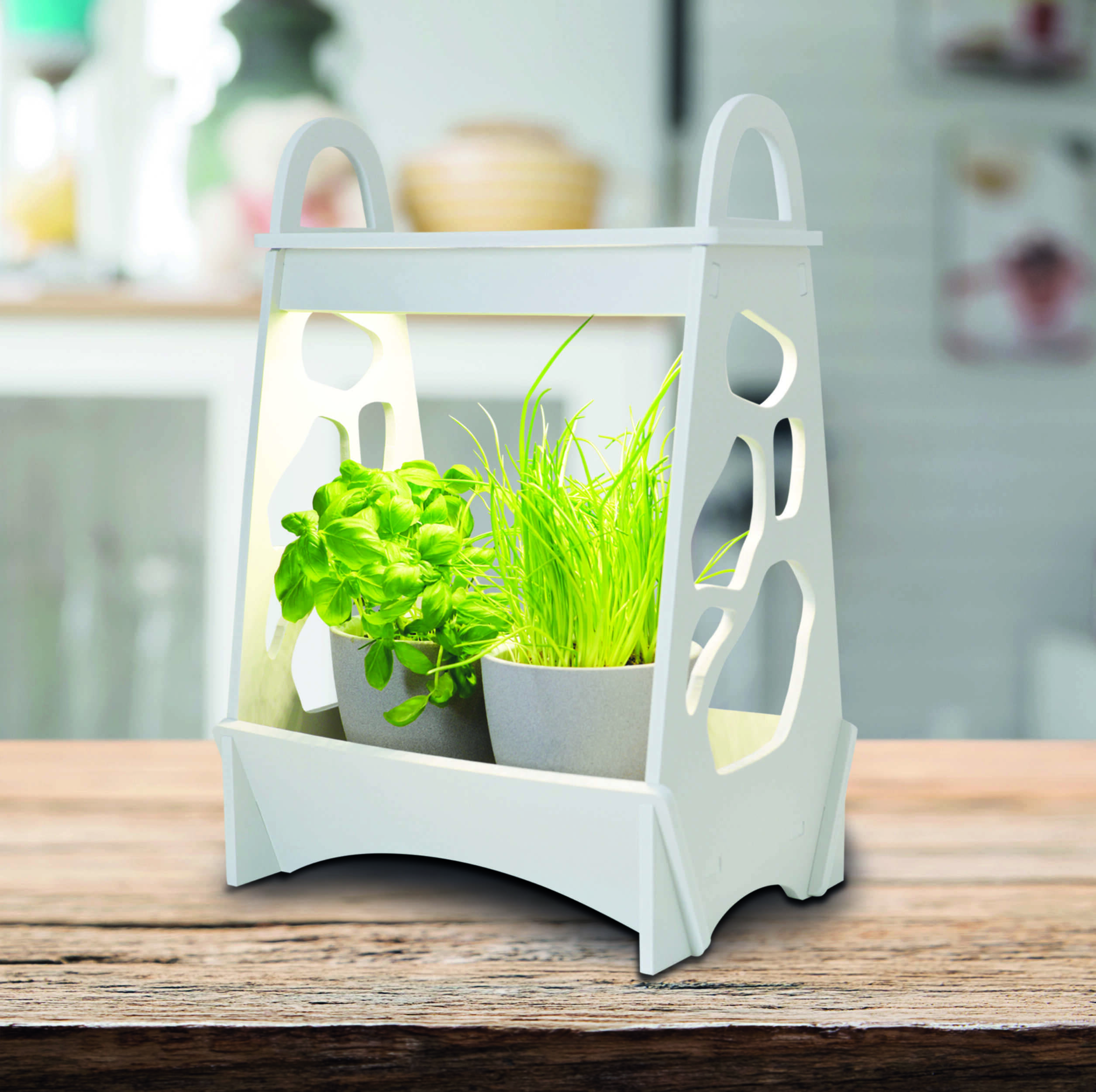 LED-Mini-Garten h: 50cm weiß "Garden"