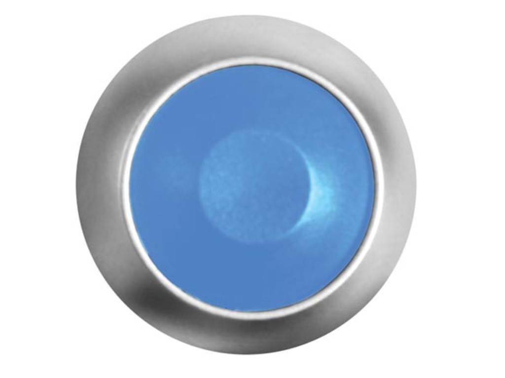 MINI-DRUCKTASTER - RUND - METALL - BLAUE SCHUTZKAPPE - 1P SPST AUS-(EIN)