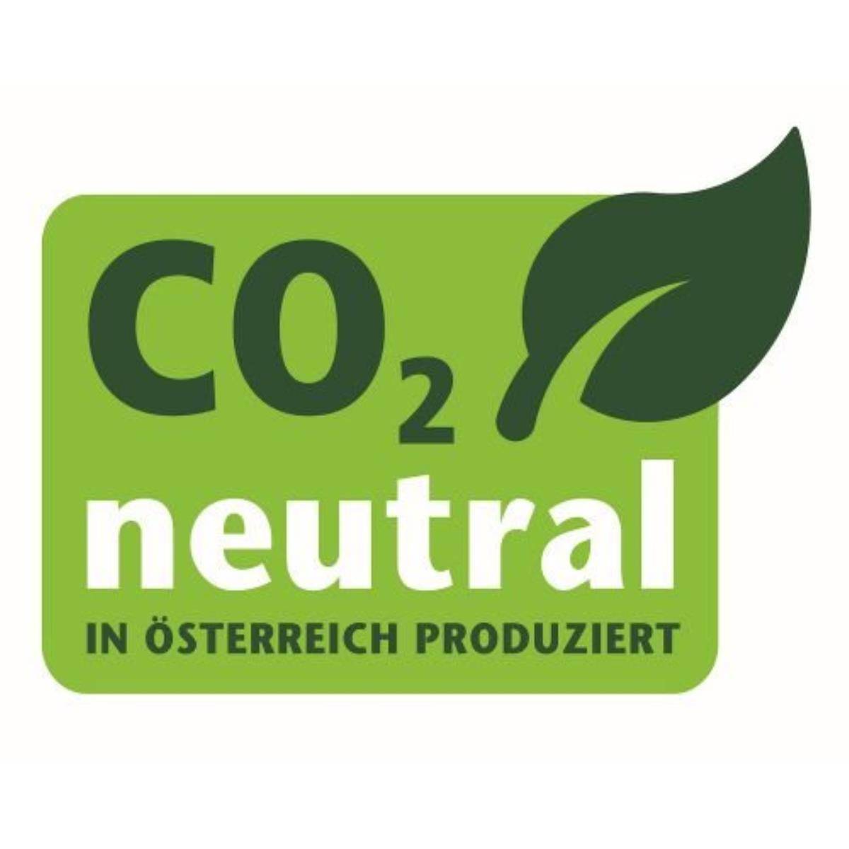 Riess Cristall Fleischtopf mit Deckel in Edelstahl Ø12cm Induktion