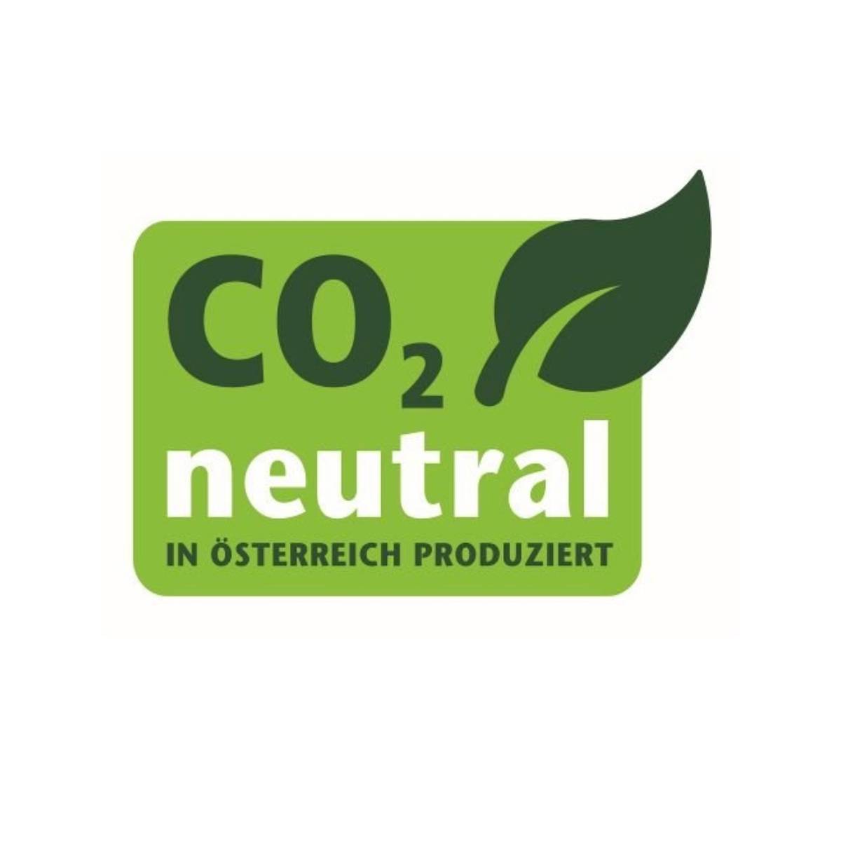 Riess Oma´s Bratpfanne 29/18cm mit 2 Griffen Braten/Backen Schwarz Emaille